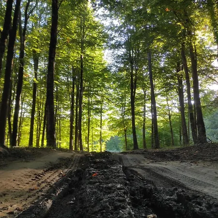 Bed & Breakfast Chalet Lago Taverna (Calabria)