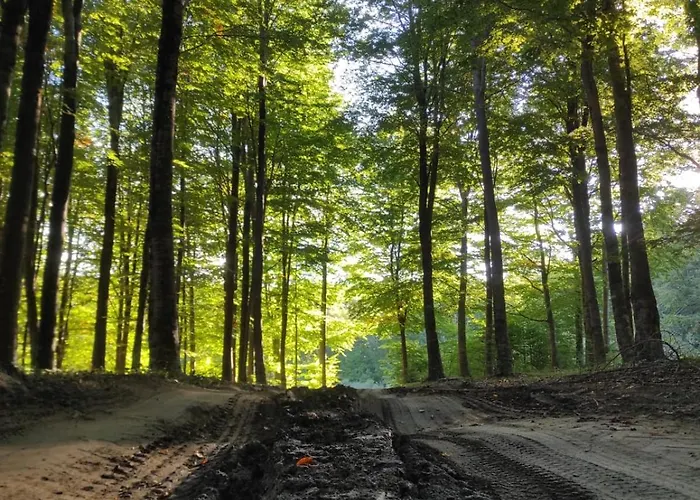 Alojamento de Acomodação e Pequeno-almoço Chalet Lago Taverna (Calabria)