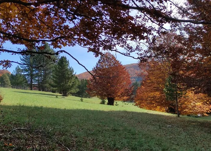 Alojamento de Acomodação e Pequeno-almoço Chalet Lago 3*